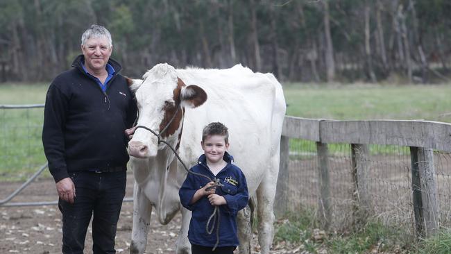 Ron Guyett with his grandson Kade, 5, with cow Super Red, at his dairy Willowbank, Naringal. Picture Yuri Kouzmin