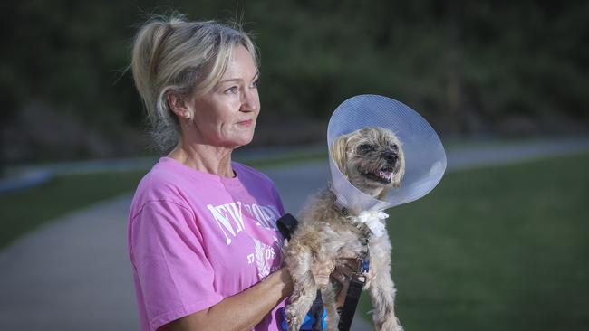 Mags Bowens Havanese , Ã’BailyÃ“ was attacked and savaged by 2 larger , unleashed dogs in Pimpama. Picture: Glenn Campbell