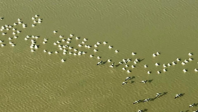 Kati Thanda-Lake Eyre May 2019 . Picture: Wrightsair