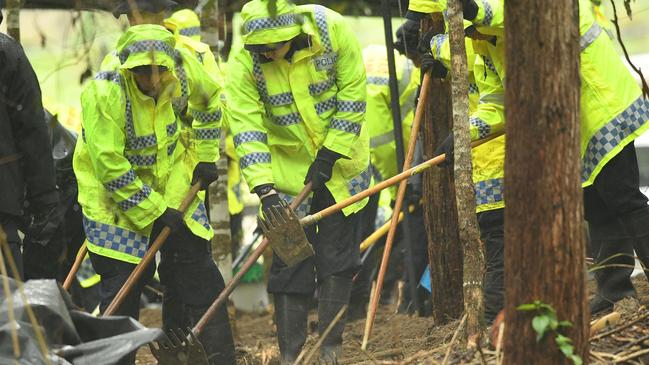 Strike Force Rosann detectives search for William Tyrrell's remains in scrub off Batar Creek Rd, in Kendall. Picture NCA NewsWire / Trevor Veale