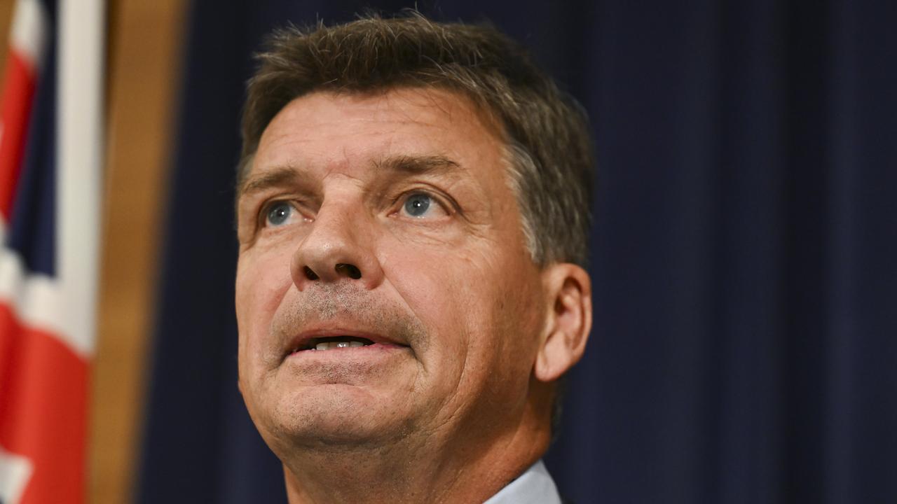 Shadow Treasurer Angus Taylor said the scheme would be a boost for small businesses. Picture: NewsWire / Martin Ollman