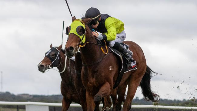 Surprise Coming winning at Murray Bridge in June. Picture: Makoto Kaneko