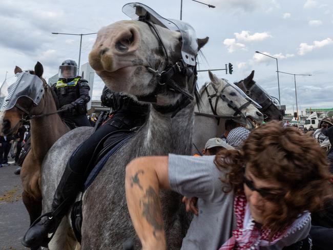 11/09/2024: Protesters clash with mounted police outside the DFO. Picture: Jake Nowakowski