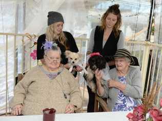 HOLY MUTTRIMONY: John Cani Aged Care Centre residents Valerie Judas and Mary Hubner, with Jaelylen Hurst and Jessica Ellis, congratulate newlyweds Mr and Mrs Anderson after their wedding ceremony. Picture: Chris Ison Rokcdogs