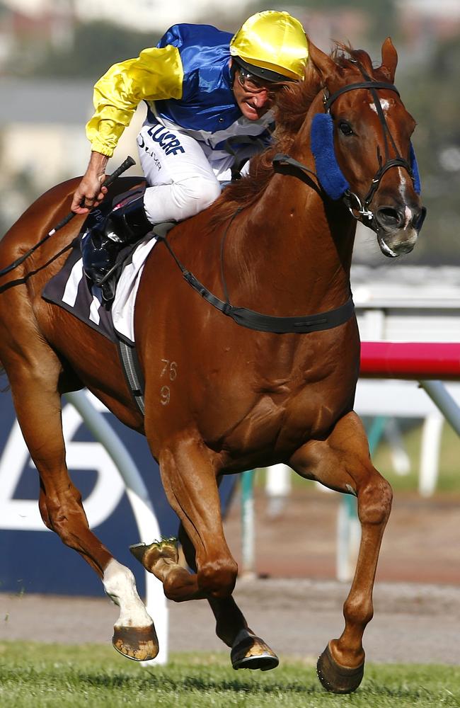 Long time between drinks: Sistine Demon salutes at Flemington in March last year. Picture: Michael Klein