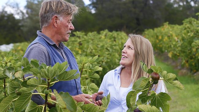 Peter Frankham and his wife, Tanya Ahokas are pictured at their Dulcot orchard, named Frankham Figs Tasmania.Picture: MATT THOMPSON