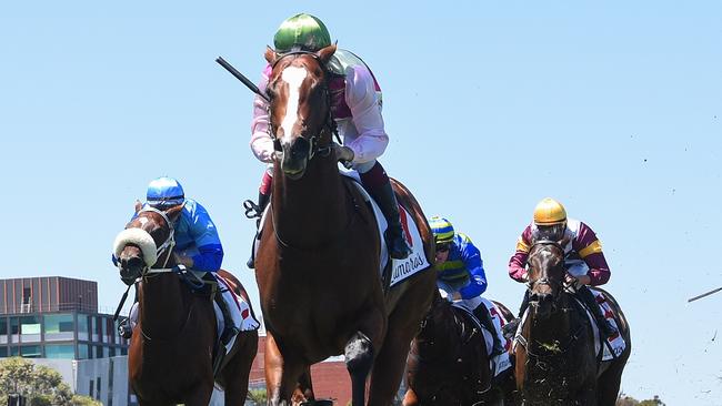 Exciting colt Coleman easily won the Group 3 Chairman’s Stakes at Caulfield. Picture: Racing Photos via Getty Images.