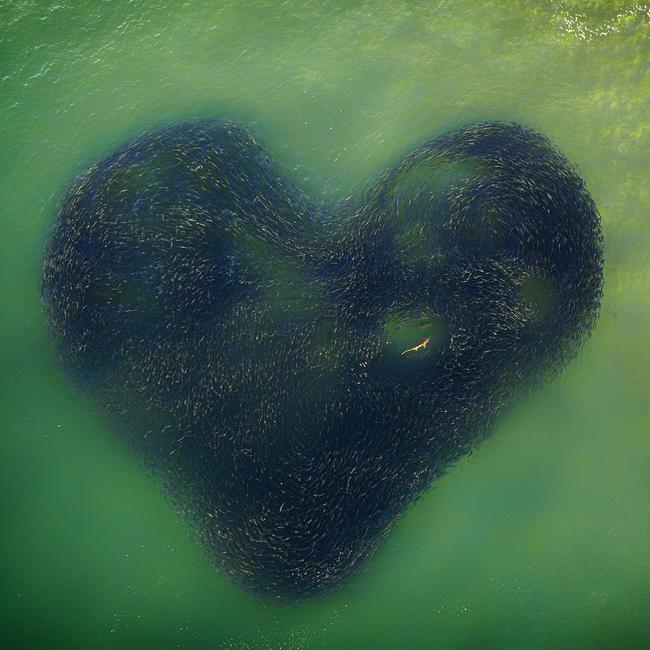 Jim Picôt’s Love Heart of Nature.
