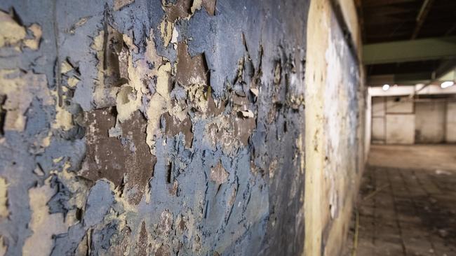 Inside the Pigott's building as owners Rowes detail plans for the historic Toowoomba CBD site, Monday, January 29, 2024. Picture: Kevin Farmer