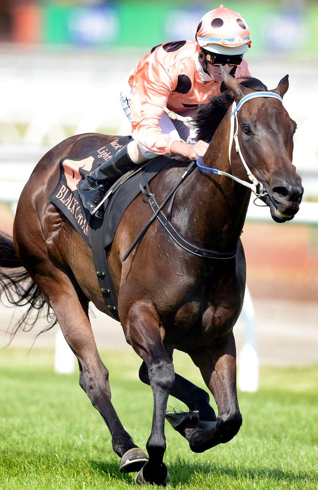 Black Caviar might be the greatest modern day racehorse ever.