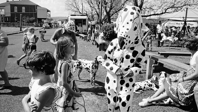 A collection of Graham Burstow's photography in Toowoomba during the 1970s and 1980s. Dalmatians.