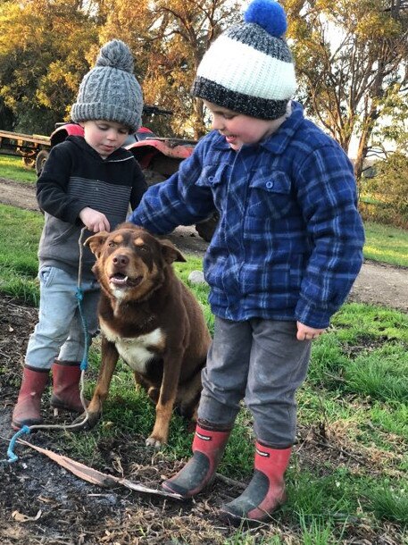 Day of Dogs 2018: Dennis and Samantha Reynolds from Orbost sent in this picture of their kids Fletcher and Hudson with Kelpie, Rusty.