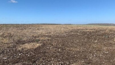 A project proposal has outlined the use of the extensive natural soil resource exposed at Fairbairn Dam when levels are low.