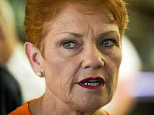 One Nation leader Senator Pauline Hanson. Picture: GLENN HUNT