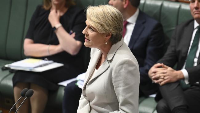 CANBERRA, Australia – NewsWire Photos – June 24, 2024: Minister for the Environment and Water Tanya Plibersek during Question Time at Parliament House in Canberra. Picture: NewsWire / Martin Ollman