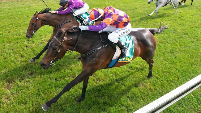 Mi Rock Aly (NZ) ridden by Linda Meech wins the bet365 Mortlake Cup at Mortlake Racecourse on November 02, 2024 in Mortlake, Australia. (Photo by Jay Town/Racing Photos)