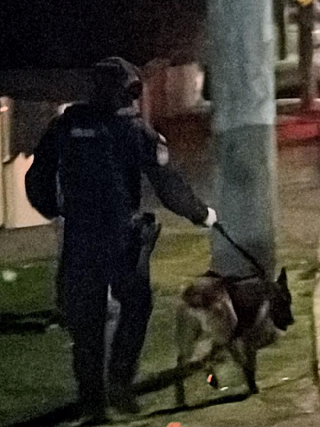 The dog unit was involved in the operation. Picture: Dylan Arvela