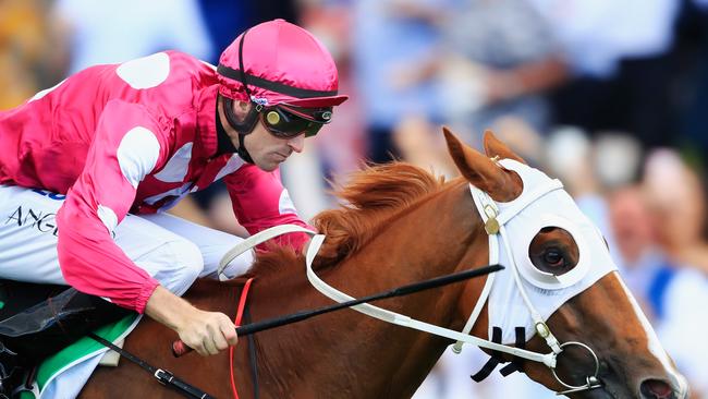 Tye Angland on Tristan De Angel wins at Rosehill Gardens on November 10, 2018. Picture: Mark Evans