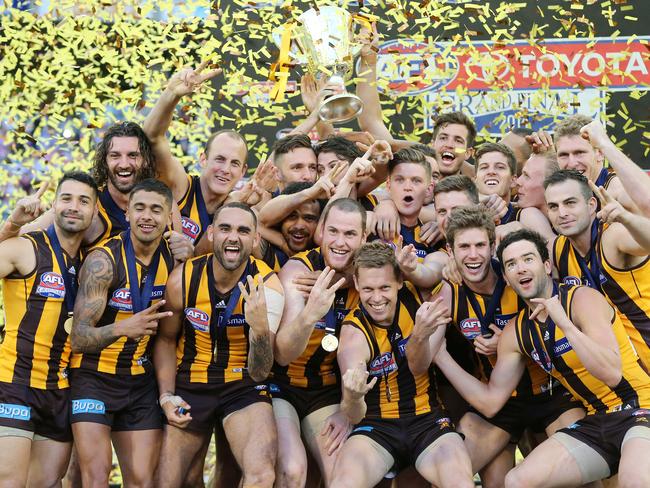 Hawthorn players raise the 2014 premiership cup. Picture: Alex Coppel