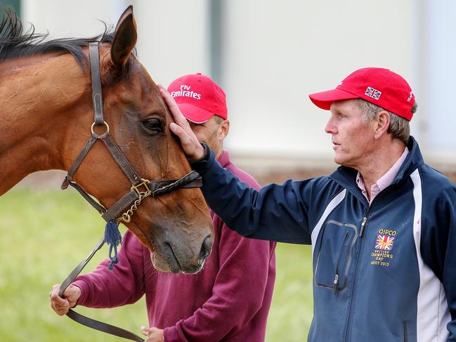 International horse's trackwork at Werribee racecourse this morning, Trainer's Michael Bell gives his horse Big Orange a pat. 27th October 2016. Picture: Colleen Petch.