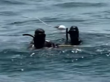 The pair were diving of SA’s south east coast. Picture: 9News