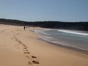 Wallagoot Beach within Bournda National Park on the NSW South Coast. Picture: Billy Ballard