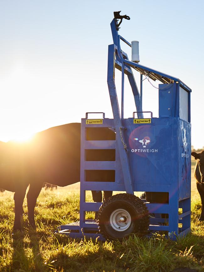 An Optiweigh mobile scale in use a paddock, with satellite connection.