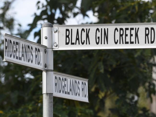 Black Gin Creek Rd sign.