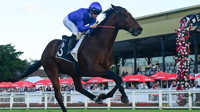 Vilana has stormed into Stradbroke Handicap favouritism. Picture: Grant Peters—Trackside Photography.