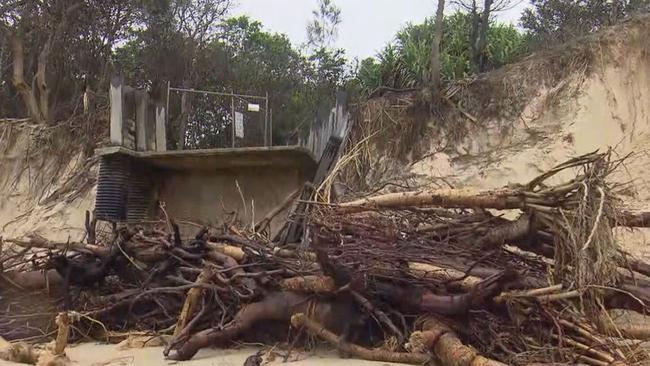 Fallen trees litter the main beach. Picture: 9News