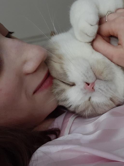 Luna-Marie, aka Looney Tunes (Toons), joined the family as an emotional support friend for Ella, 14. Picture: Supplied