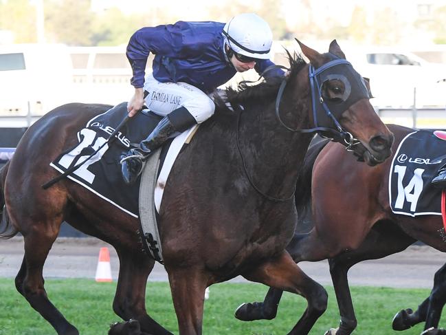 The Map wins the Andrew Ramsden at Flemington in May. Picture: Brett Holburt-Racing Photos via Getty Images