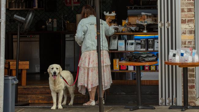 There’s now a push for our four-legged friends to be permitted entry to shops, restaurants and hotels. Picture: Adrian Fowler/NEWS360