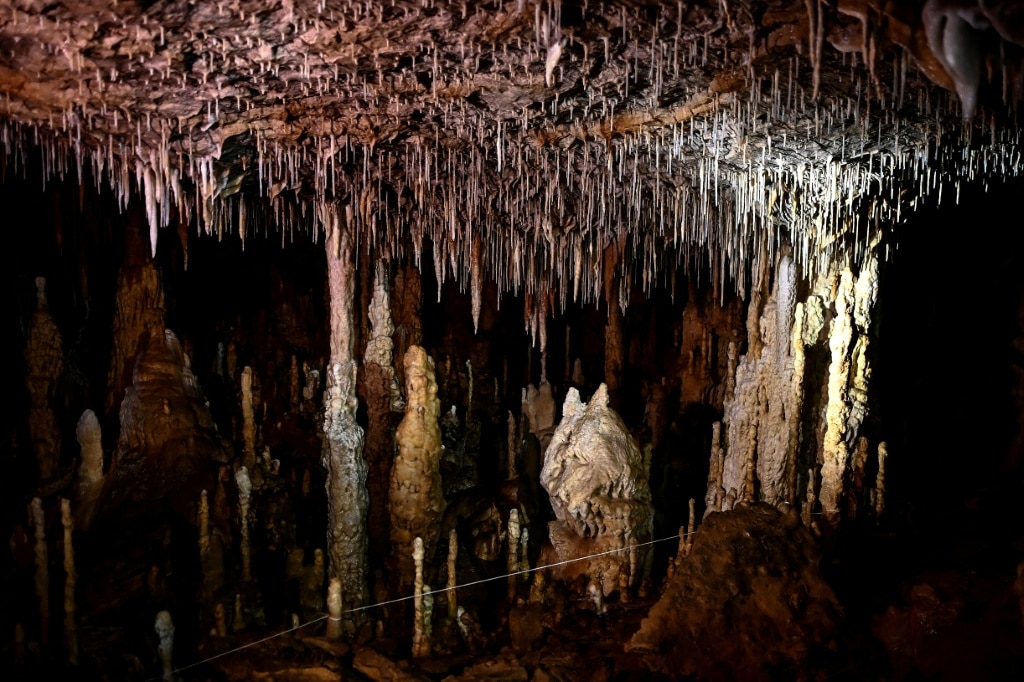 Rarely seen cave art holds prehistoric secrets in France