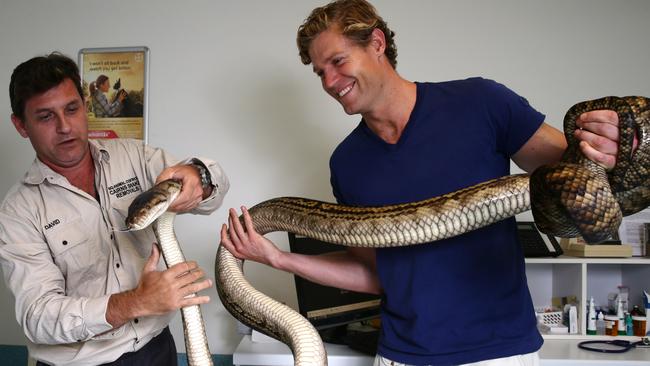 Bondi vet Dr Chris Brown was in Cairns doing a TV episode for his show with a five meter long scrub python. Local snake man Dave Walton caught the snake and released it with Chris. Dave and Chris inspect the snake at Marlin Coast vet.