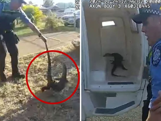 Cops heckled over lizard bizarre video. Picture: WA Police