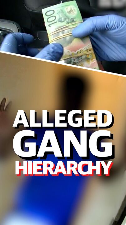 Hierarchy of alleged gang was a 'pyramid scheme'