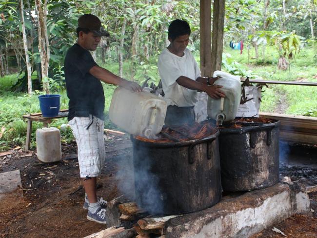 Guests pay $US1500 for a 12-day stay, which includes seven ceremonies.