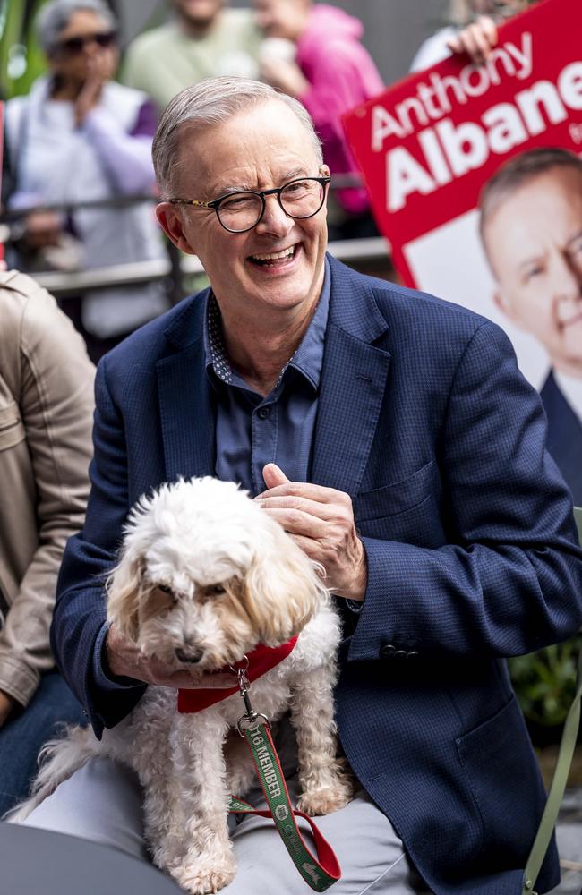 Anthony Albanese visits his local community to have morning coffee at Marrickville Library and cafe with his dog Toto. Picture: Darren Leigh Roberts