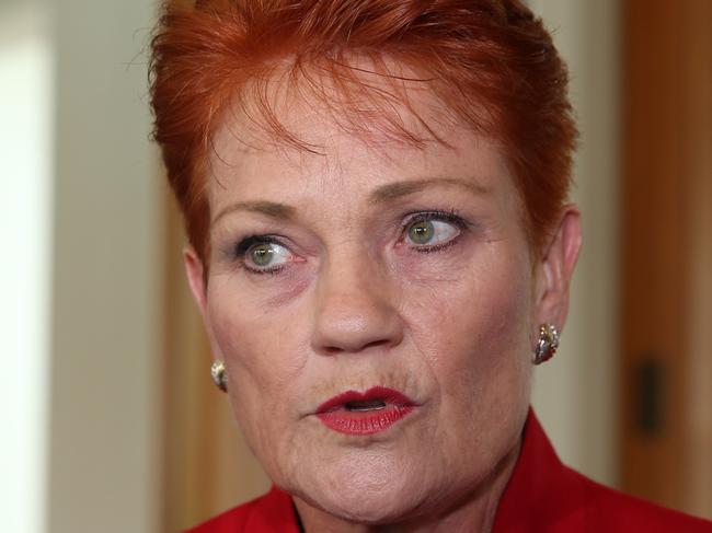 Pauline Hanson during a press conference at Parliament House in Canberra. Picture Gary Ramage