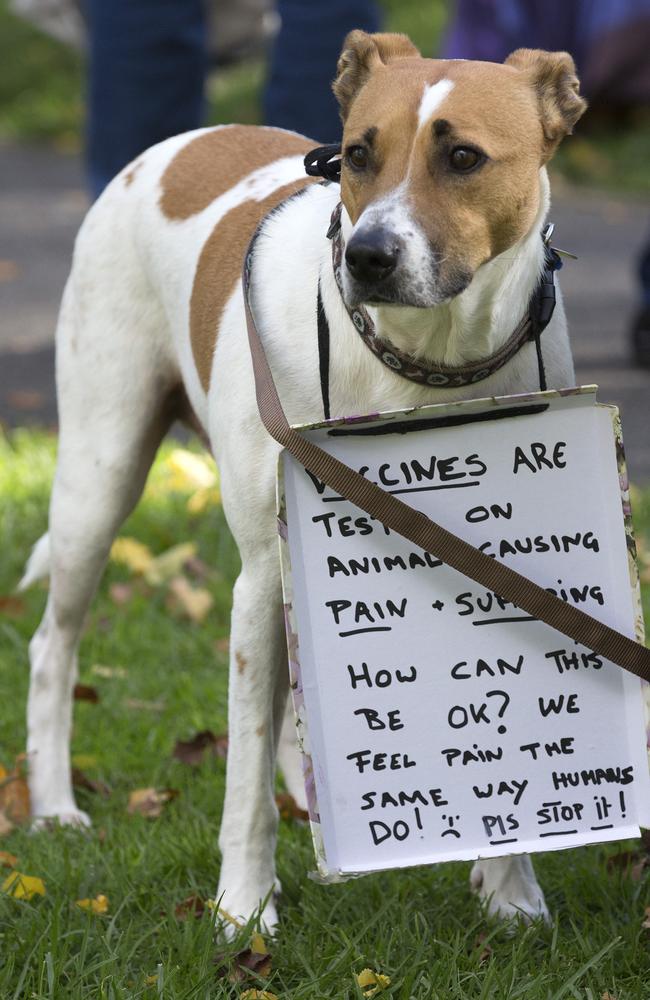 A previous Anti Vaccination Rally in the Flagstaff Gardens in Melbourne.