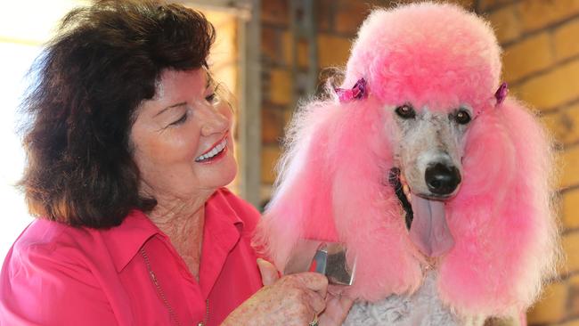 Coco with her owner and agent Sue Zocchi. Picture: Glenn Hampson