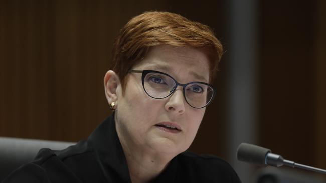 Foreign Minister Marise Payne said the laws would allow the government to take timely actions in response to issues of international concern. Picture: Sean Davey