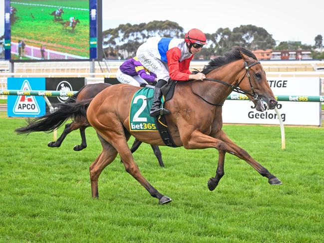 Riproar (NZ) ridden by Damian Lane wins the bet365 BM64 Handicap at Geelong Racecourse on April 02, 2024 in Geelong, Australia. (Reg Ryan/Racing Photos via Getty Images)