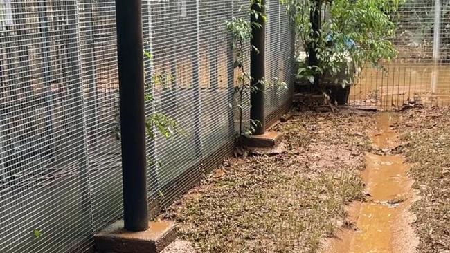 YAPS animal refuge and boarding kennels endured a torrent of water on Monday.