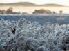 Weather wrap: Hopes for more rain