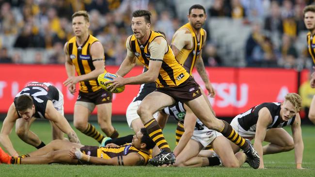 Jack Fitzpatrick underlined his cult-figure status with a last-minute goal against Collingwood in Round 23 last year. Picture: Michael Klein