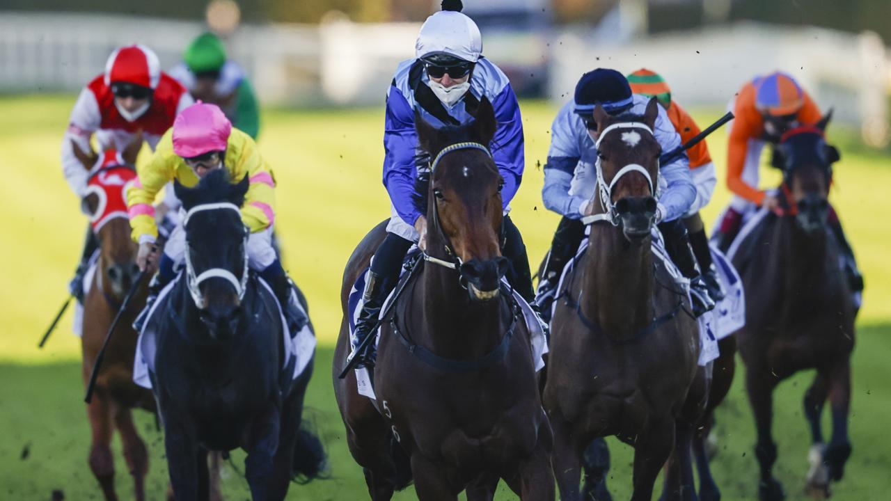 Steely is set to break a year long drought and claim a well deserved win in the Maroubra Mile. Picture: Getty Images