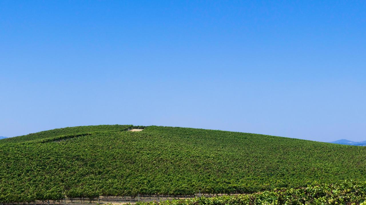 Windows XP Bliss: Man reveals California location of desktop background