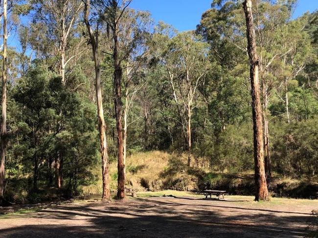 A 22-year-old man has been flown to hospital after a shocking hit-run at the Noble Spur Track, Woods Point on Easter Sunday.